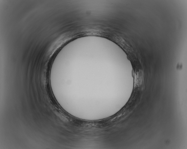 X0000090420291200708031112