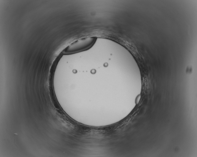 X0000090420292200708031112