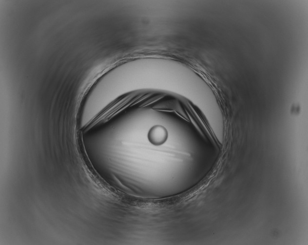 X0000090420293200708031112