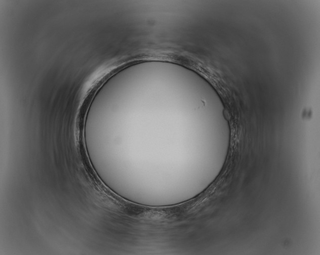 X0000090420294200708031112