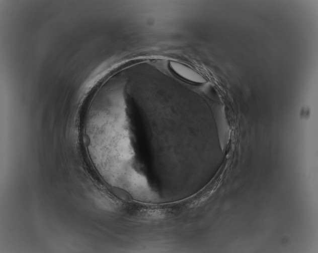 X0000090420295200708031112