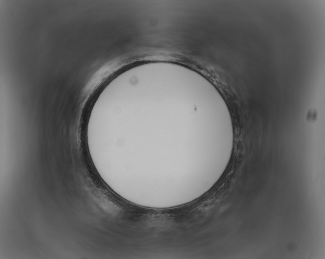 X0000090420296200708031112