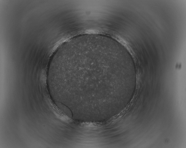 X0000090420297200708031112