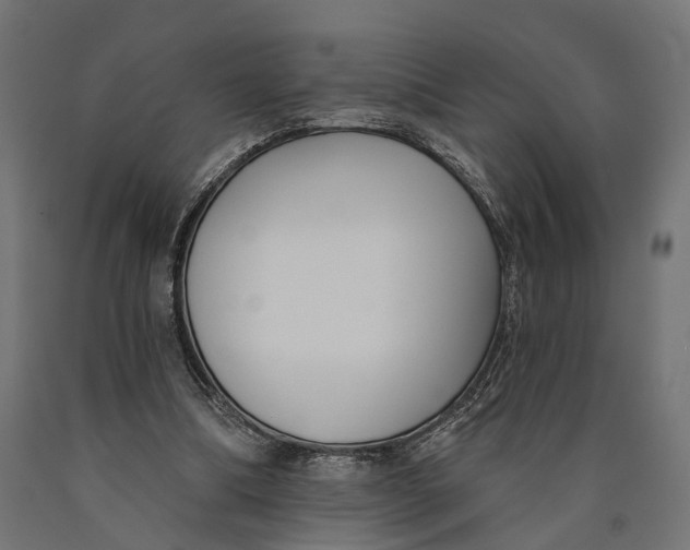 X0000090420298200708031112