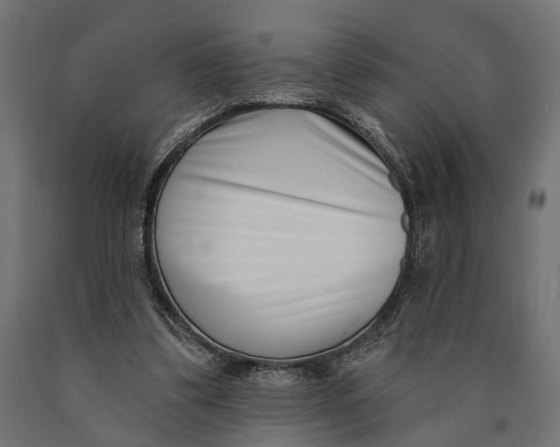 X0000090420299200708031112