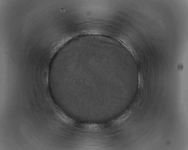 X0000090420301200708031112