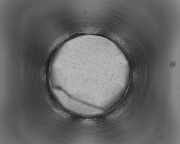 X0000090420303200708031112