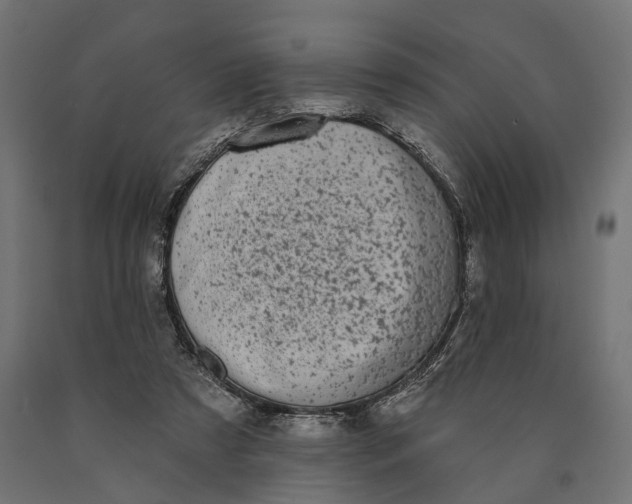 X0000090420305200708031112