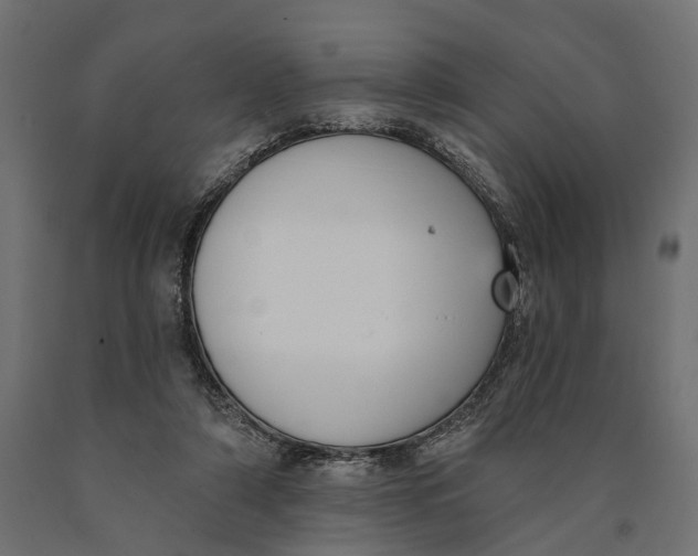 X0000090420306200708031112