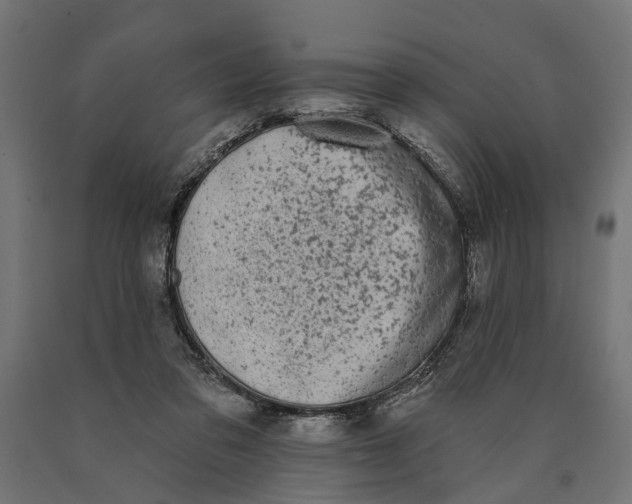 X0000090420309200708031112