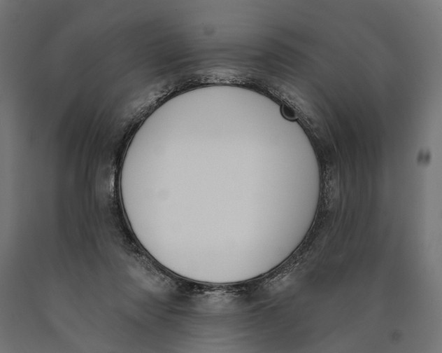 X0000090420310200708031112