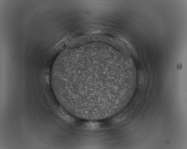 X0000090420313200708031112