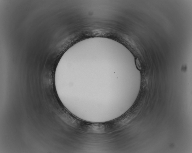 X0000090420317200708031112