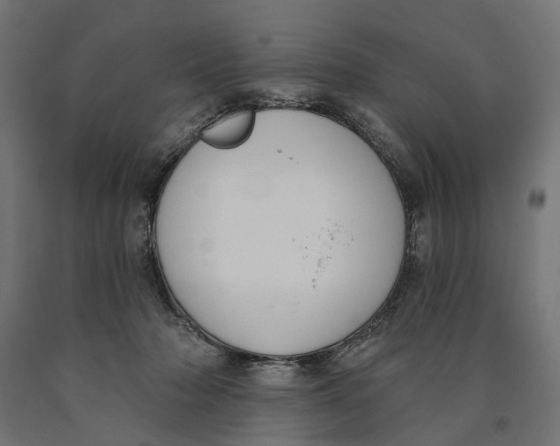 X0000090420318200708031112