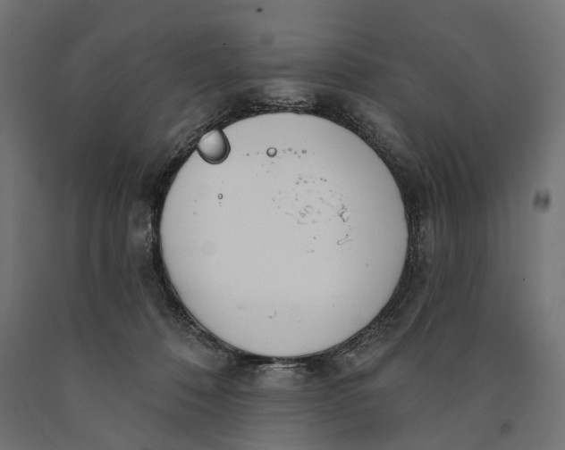 X0000090420320200708031112