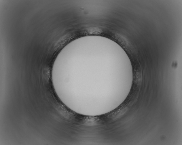 X0000090420321200708031112