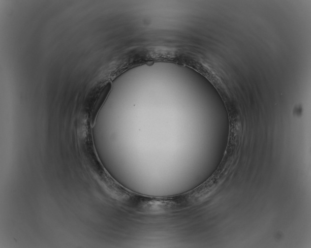 X0000090420323200708031112