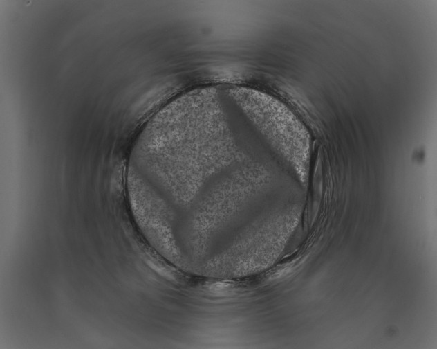 X0000090420325200708031112