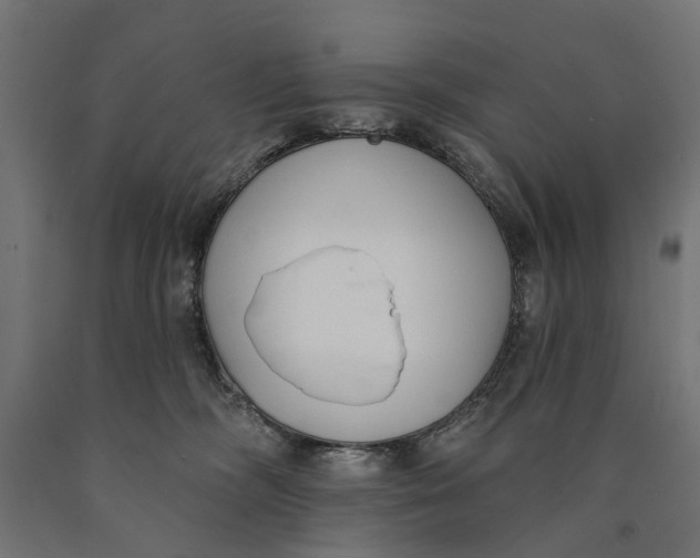 X0000090420326200708031112