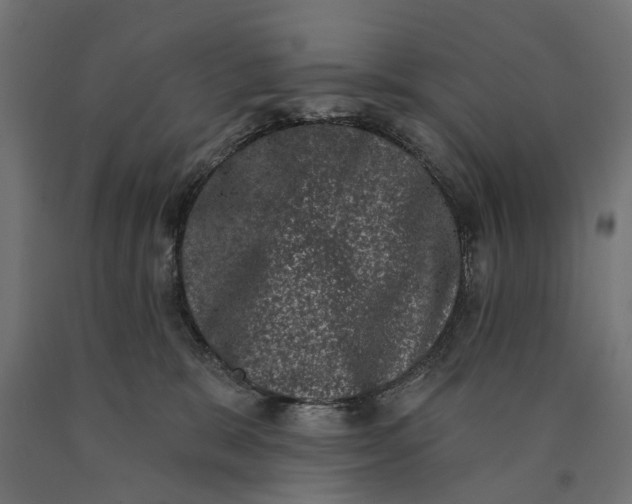 X0000090420327200708031112