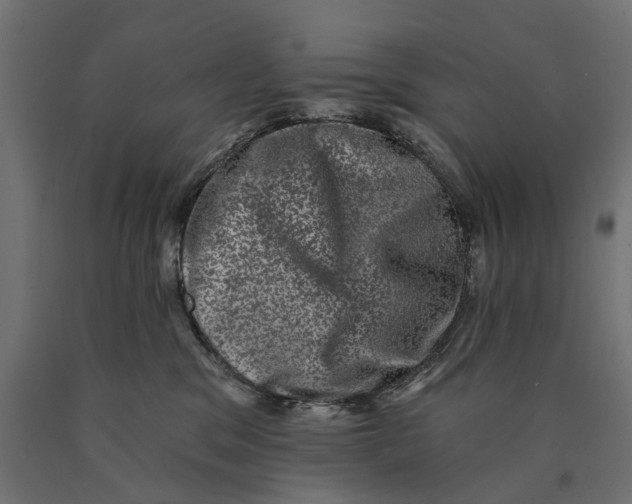 X0000090420329200708031112