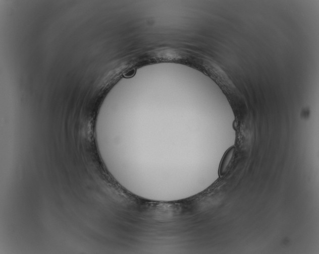 X0000090420330200708031112