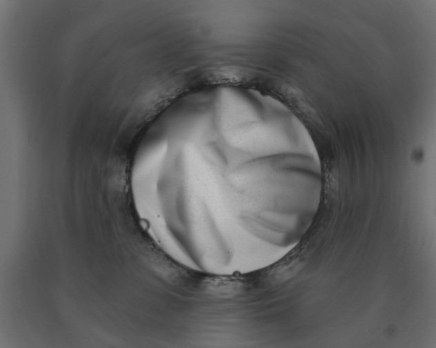 X0000090420331200708031112