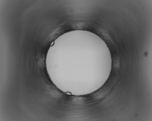 X0000090420332200708031112