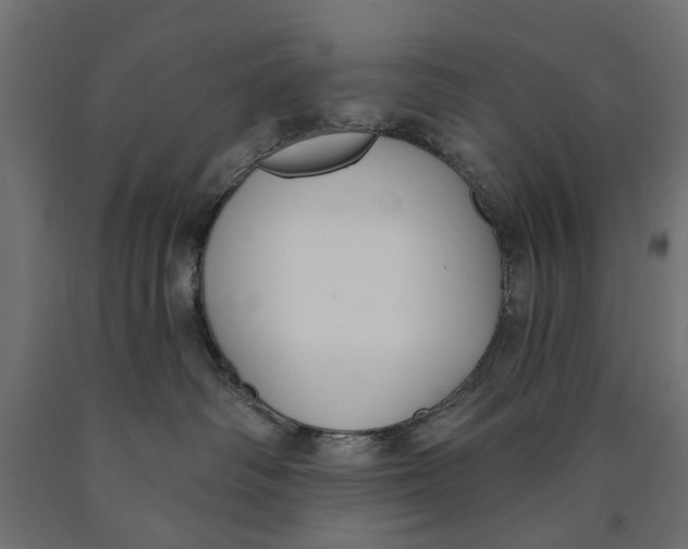 X0000090420334200708031112