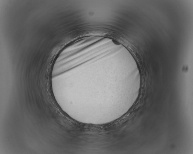 X0000090420337200708031111