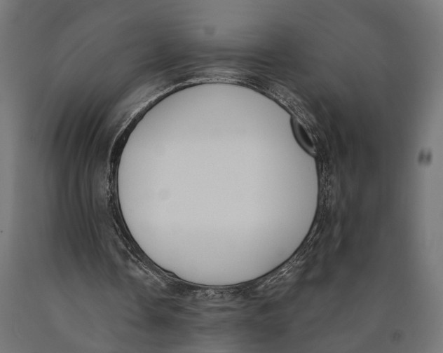 X0000090420338200708031111