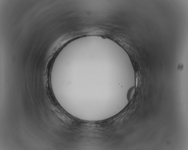 X0000090420339200708031111