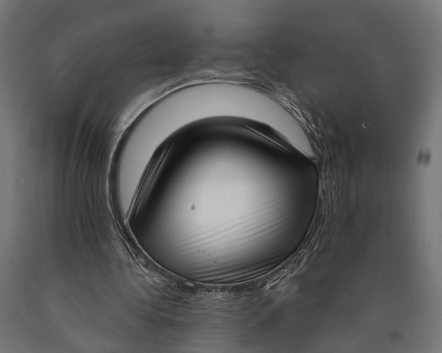 X0000090420340200708031111