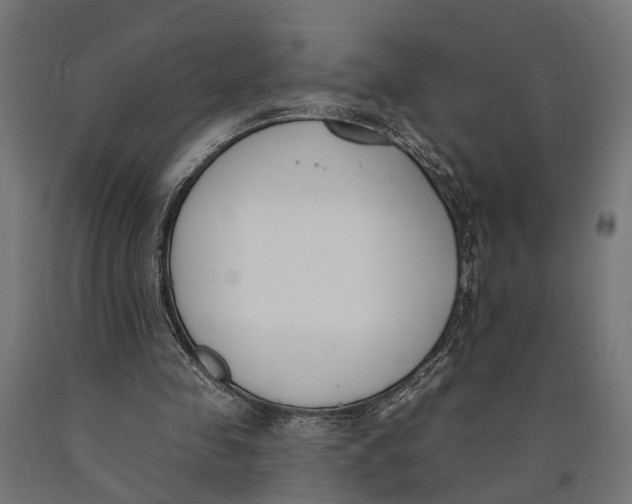 X0000090420341200708031111