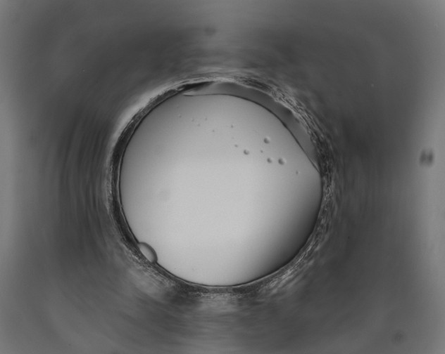 X0000090420342200708031111