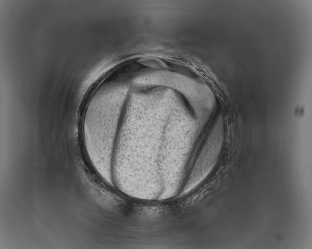 X0000090420344200708031111