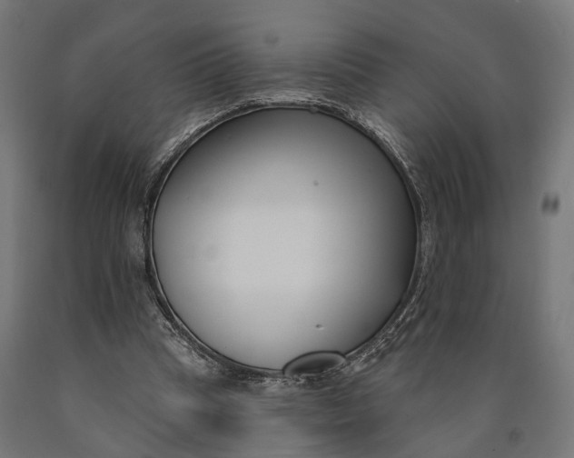 X0000090420345200708031111