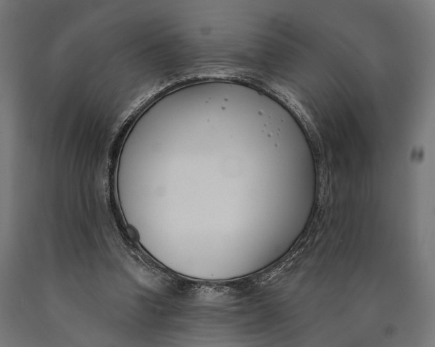 X0000090420346200708031111