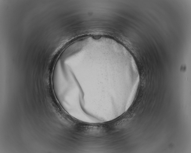 X0000090420347200708031111