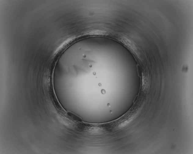 X0000090420348200708031111