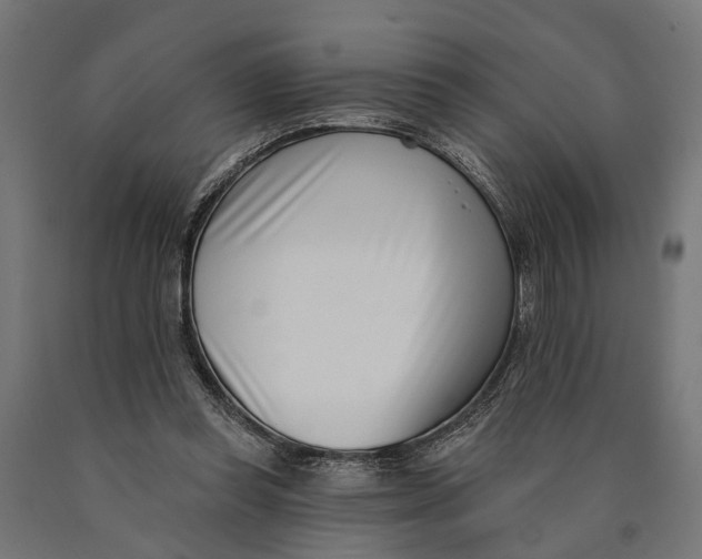 X0000090420349200708031111