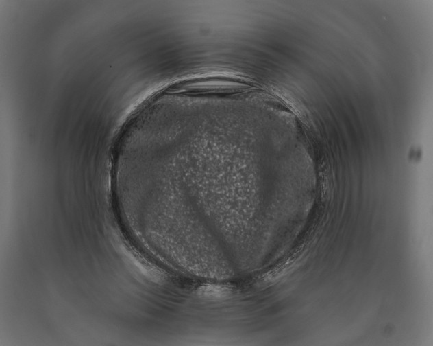 X0000090420350200708031111