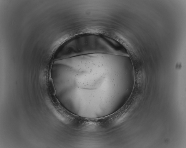 X0000090420352200708031111