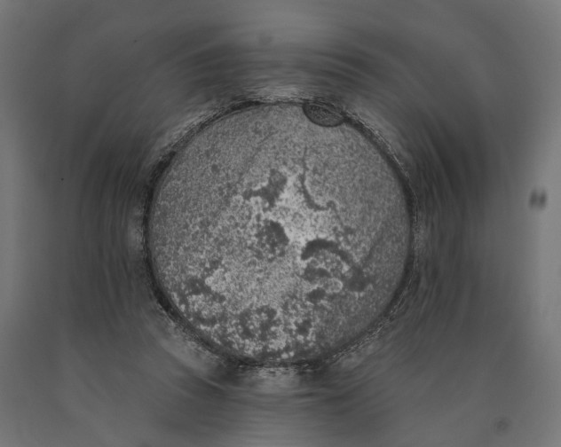 X0000090420353200708031111