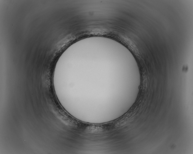 X0000090420354200708031111