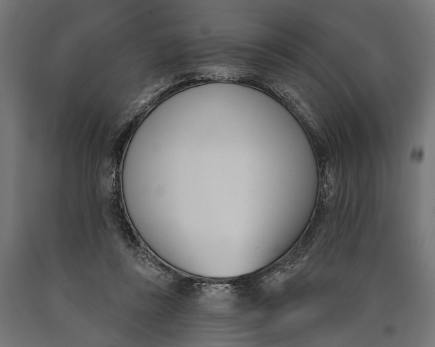 X0000090420355200708031111