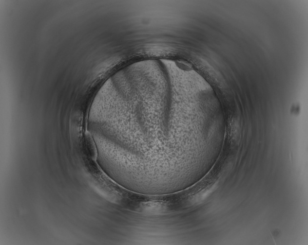 X0000090420356200708031111