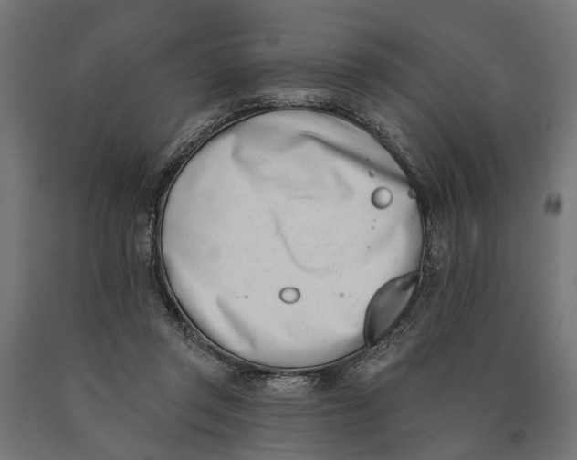 X0000090420357200708031111