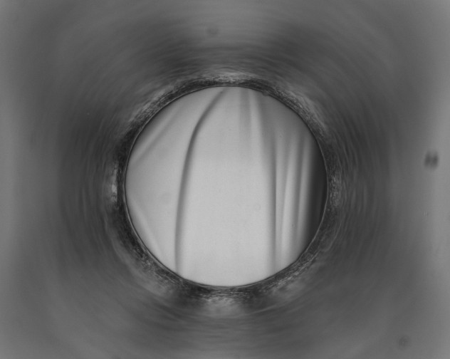 X0000090420358200708031111