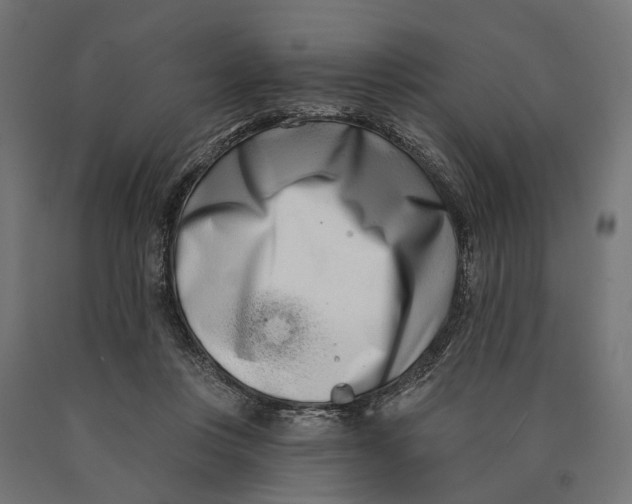 X0000090420359200708031111